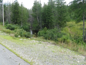 Lower Padlock Pond Trailhead? Really? Lower Padlock Pond Trailhead? Really?