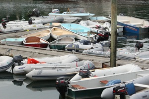 Northeast Harbor Dinghy Dock is a Busy Place! Northeast Harbor Dinghy Dock is a Busy Place!