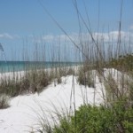 Beach Dunes Provided a Perfect Place for a Picnic Lunch -- Note: There is no shade, so if you come, bring lots of water!