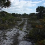 The Intersecting Trail to the South With the Eagle Nest -- There's a Sign Telling You Not To Go Further