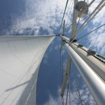 IMG_4872 IMG_4872
