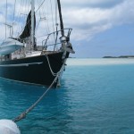 IMG_5790 IMG_5790