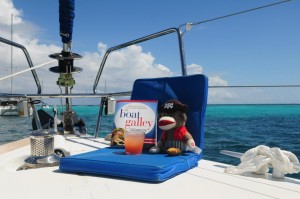 TBGCSockMonkeyPirateGrabsARumPunchAndIsReadingHisNewFavoriteBook.TobagoCays.StVincent