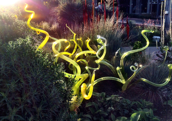 ChihulyDenvYellow