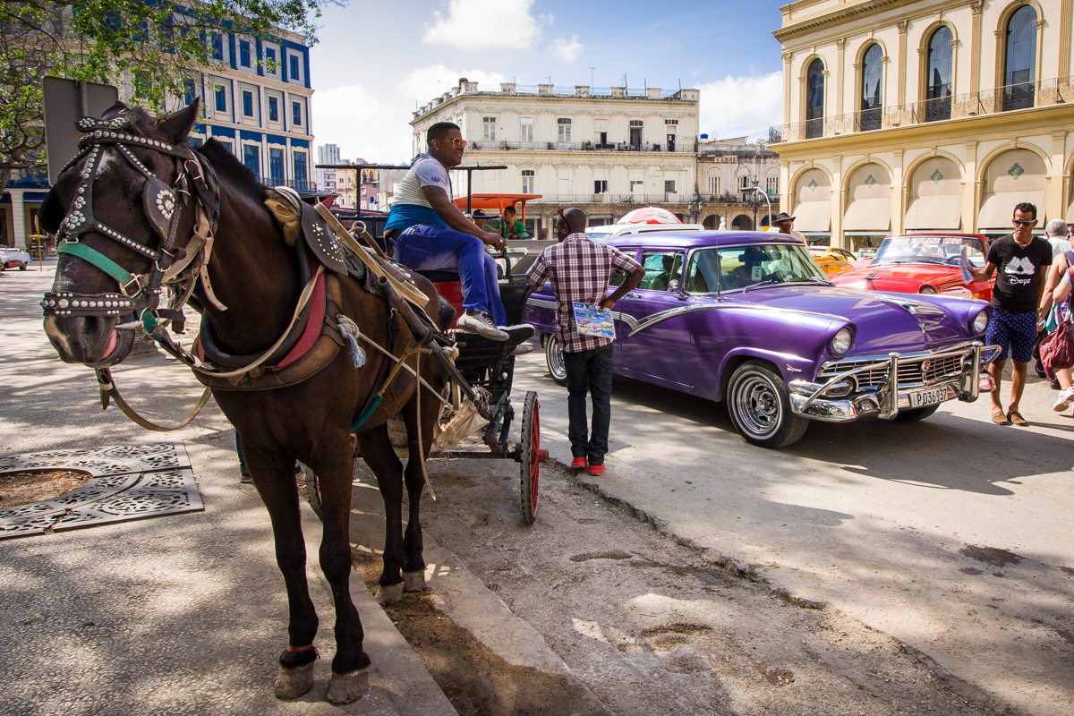 Or take a romantic horse drawn carriage to see Old Habana.